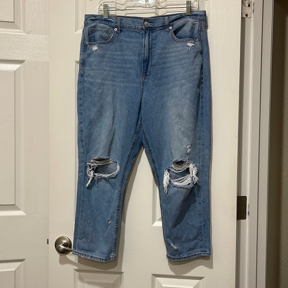 American Eagle Mom Jean 14X-Short